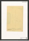 Pleurosigma naviculaceum Breb. (de-Toni-Nr.: Genus 13, Species 1003) Zeichnungen Sammlung Grunow (NHMW-BOT-W0368884)